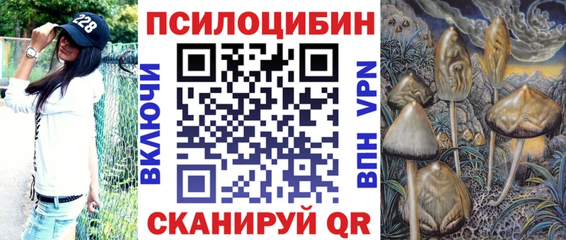 мега tor  Гремячинск  Галлюциногенные грибы мухоморы 